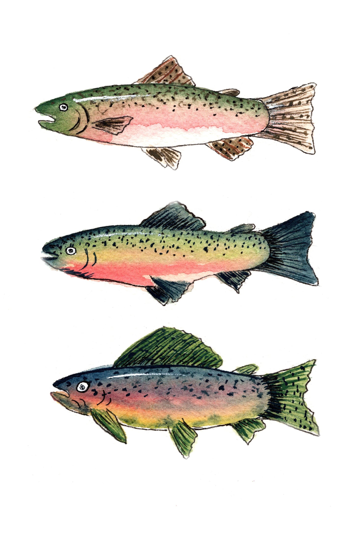 Trout Trio
