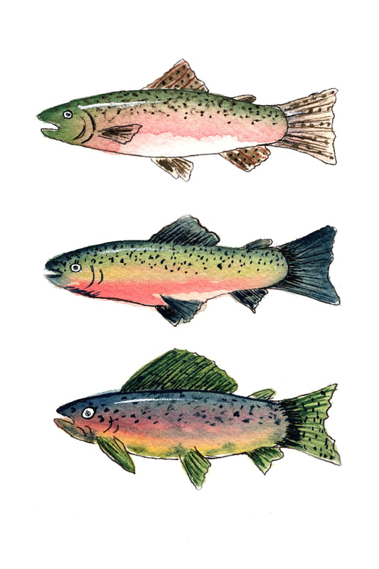 Trout Trio